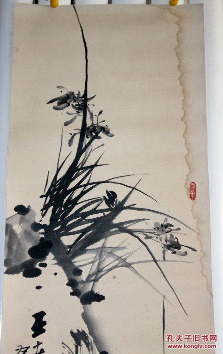 陈经五 石头兰草图