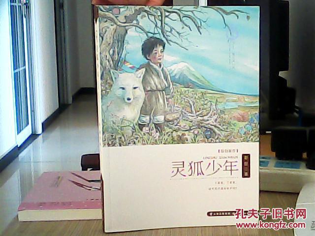 灵狐少年