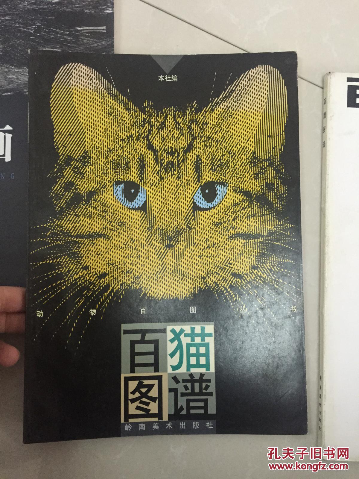 百猫图谱