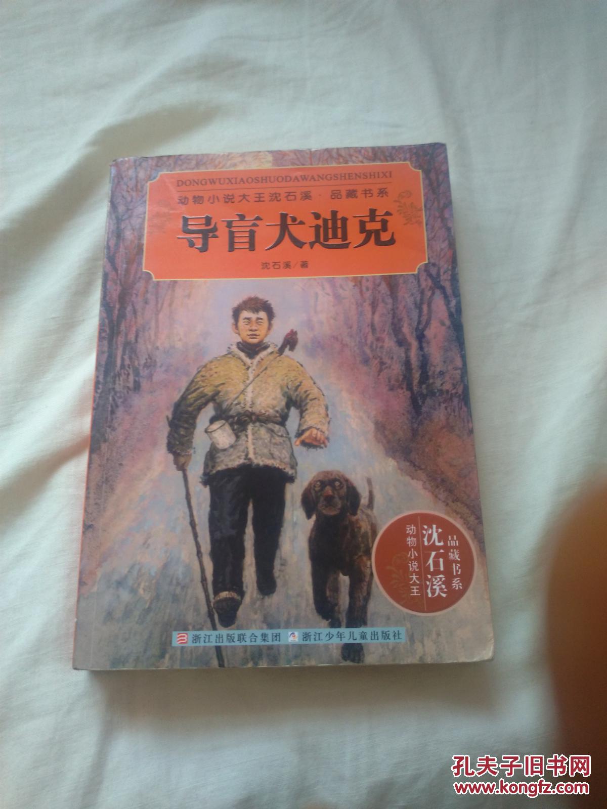 导盲犬迪克