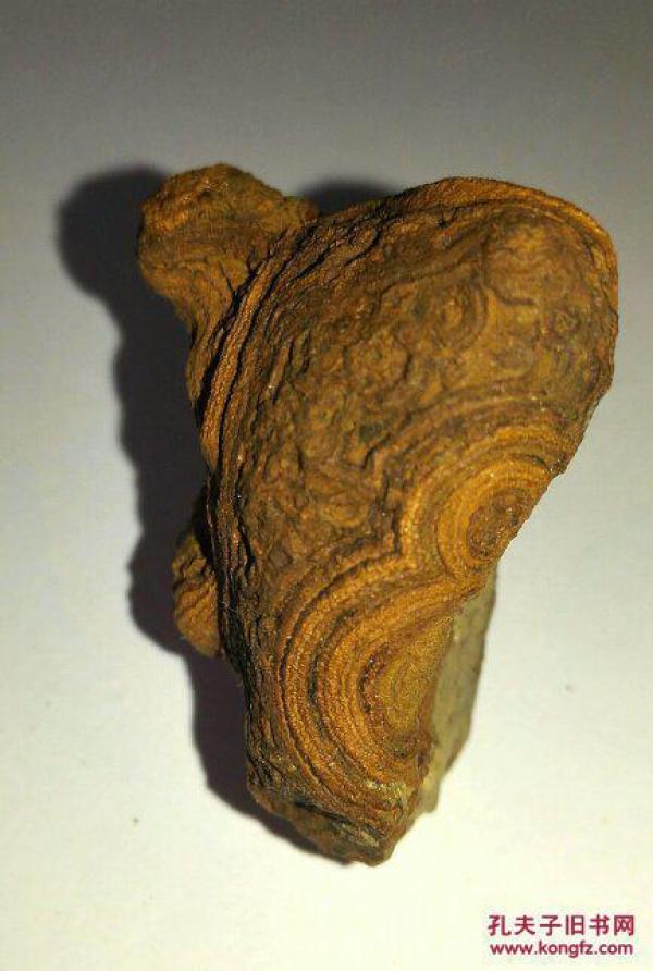 保真天珠原石内蒙古阿拉善九页岩天眼石