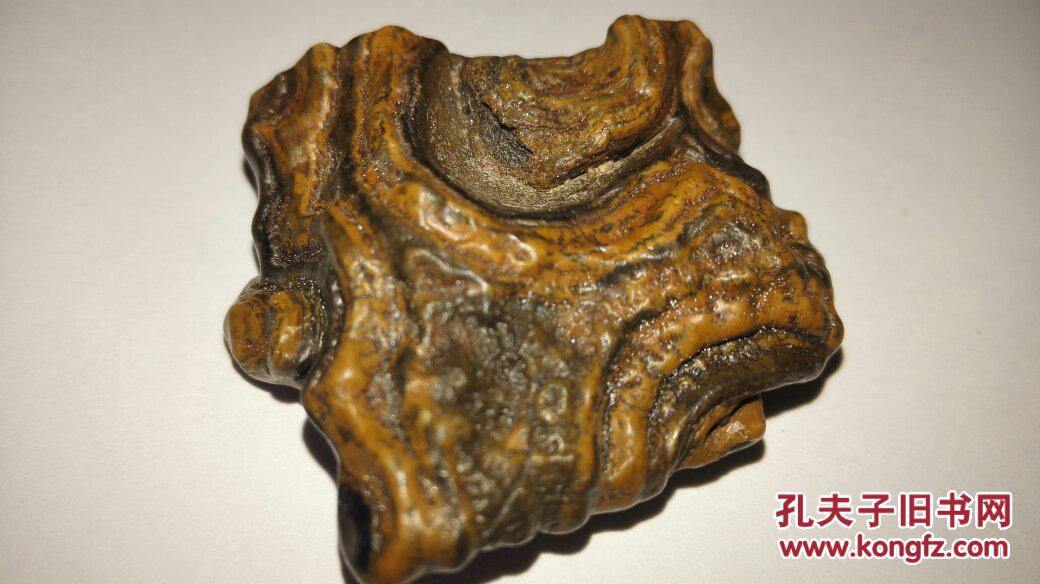 天珠原石!内蒙古阿拉善九页岩天眼石