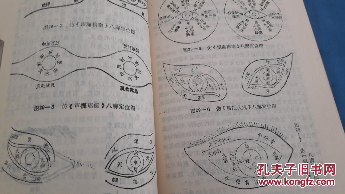 观目诊病.李彤,编著.广西民族出版社.