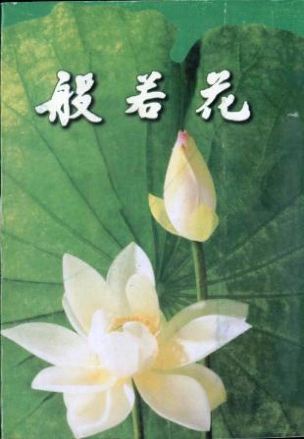 信书文化 佛学文集:般若花 32开简体横版/徐恒志 著 上海佛学书局