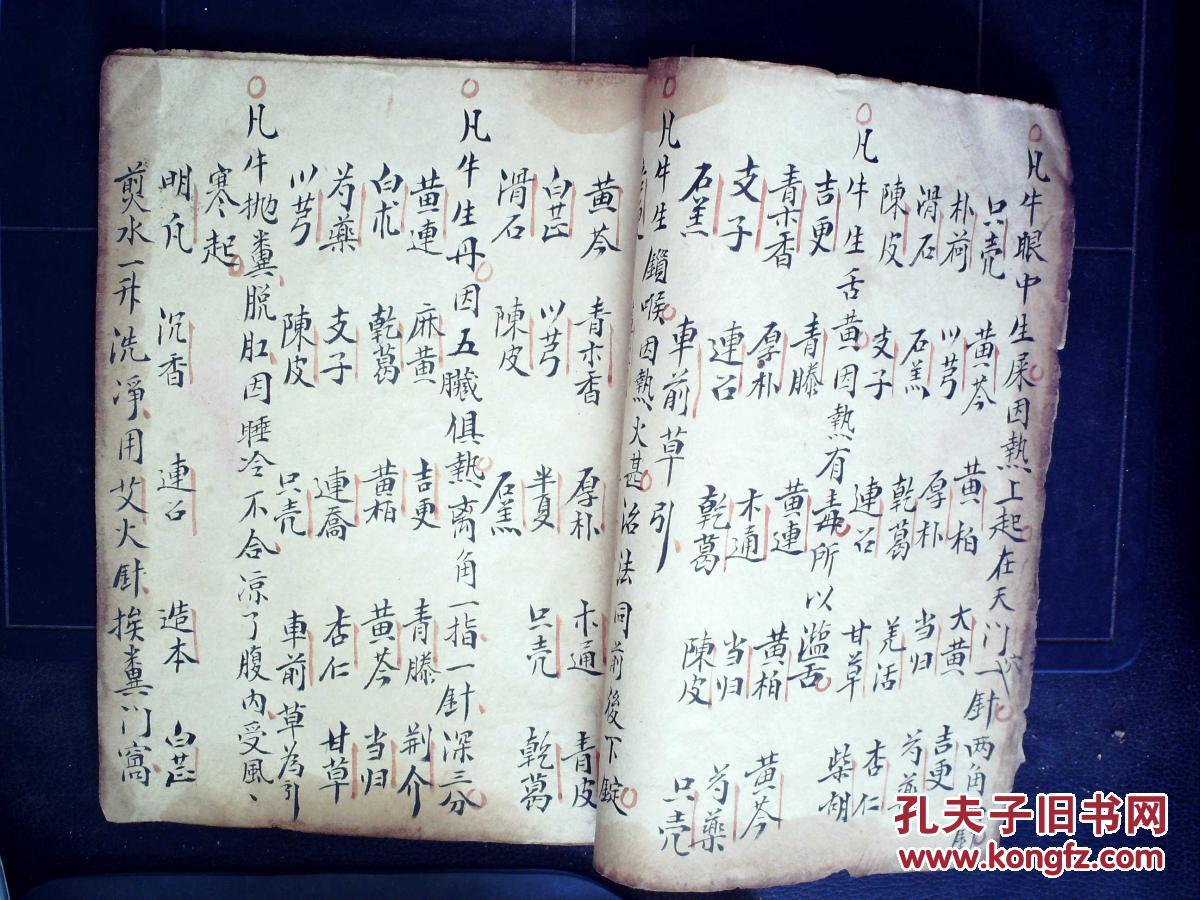 s68稀见精美医学手抄:记录大量治牛药方,字体精美,朱笔圈点