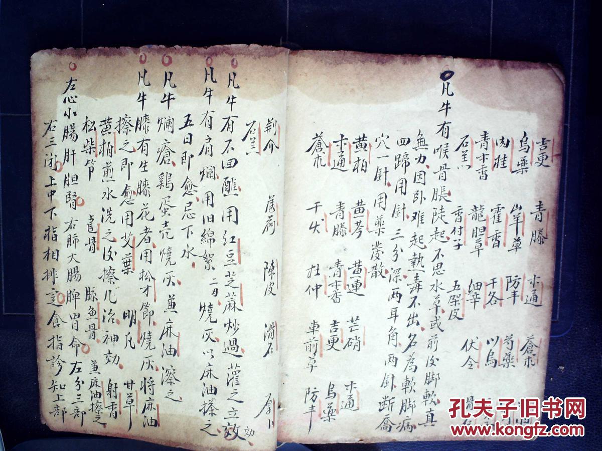 s68稀见精美医学手抄:记录大量治牛药方,字体精美,朱笔圈点