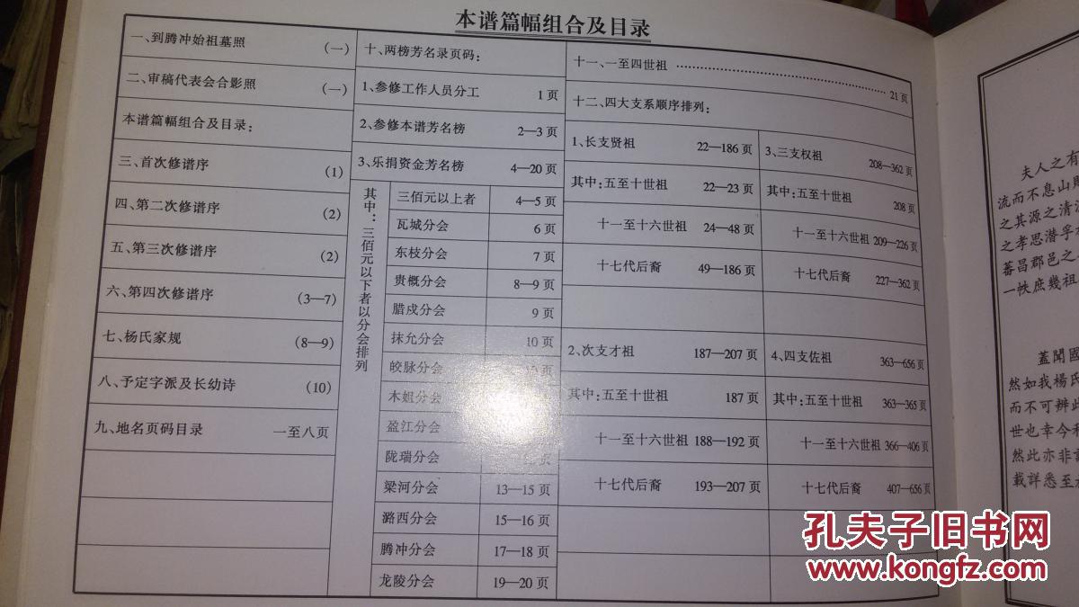 杨氏家谱(精装厚本)