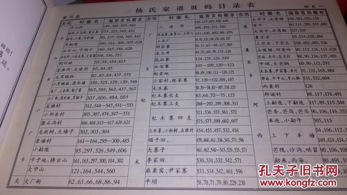 杨氏家谱精装厚本