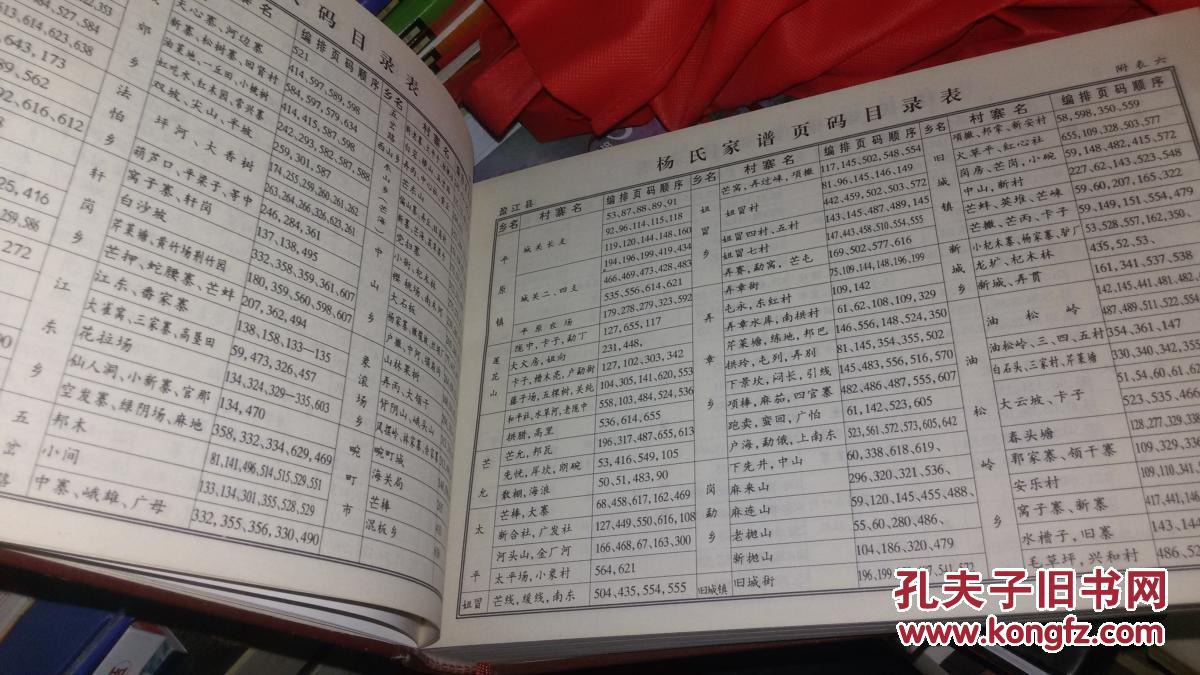 杨氏家谱(精装厚本)