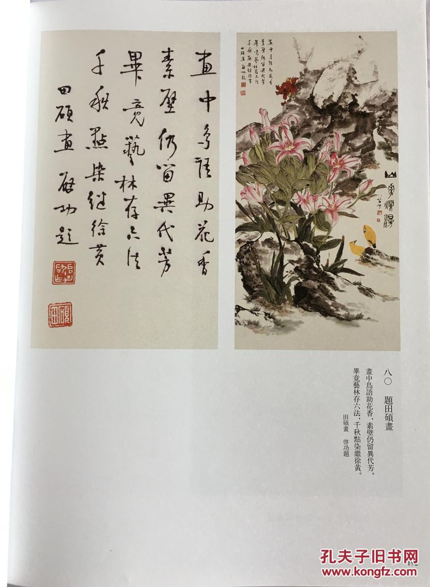 正版 精装硬皮 启功题跋书画碑帖选 畅销书籍 书法字画 正版 精装正版