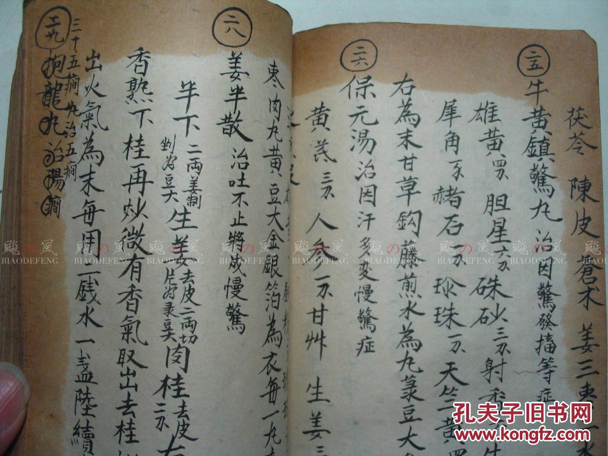 寒鹤少年简谱_玫瑰少年数字简谱(3)