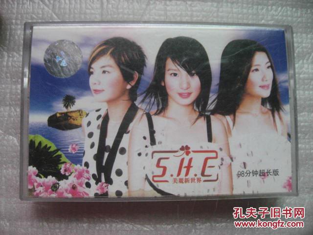美丽新世界she曲谱_美丽新世界she图片(2)