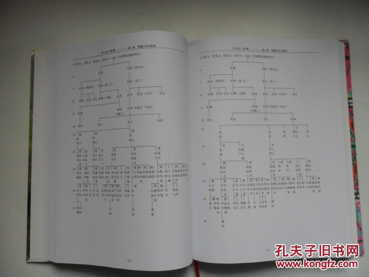 广西忻城遂意黄氏敖公族谱