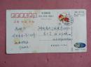 中国邮政生肖鼠明信片  1996