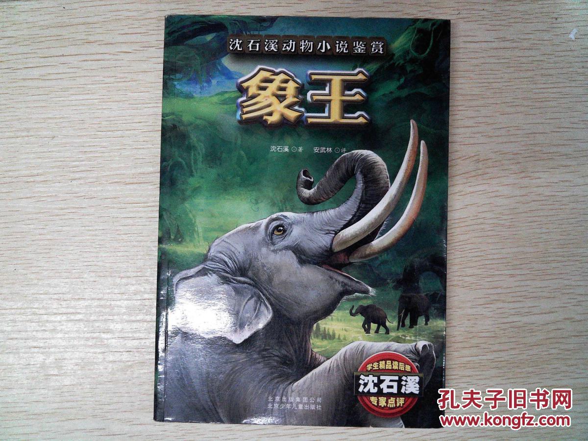 象王