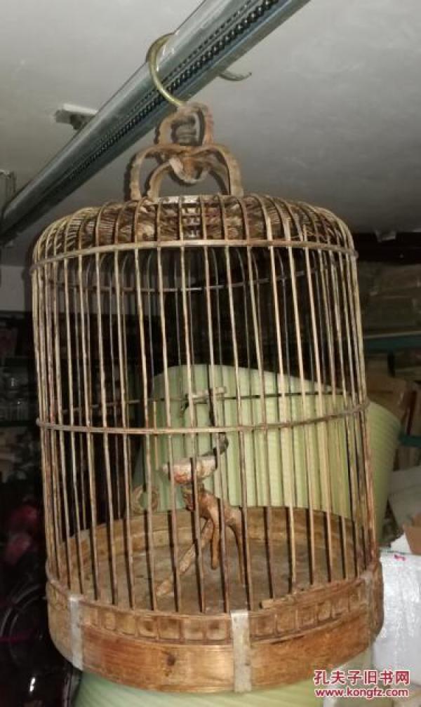 鸟笼装鸟视频 p4YBAFmxv_2AS2vOAACjj22TxxA103_n.jpg