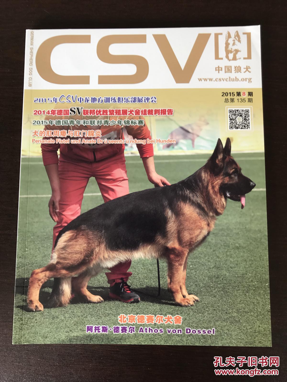 中国狼犬--德牧