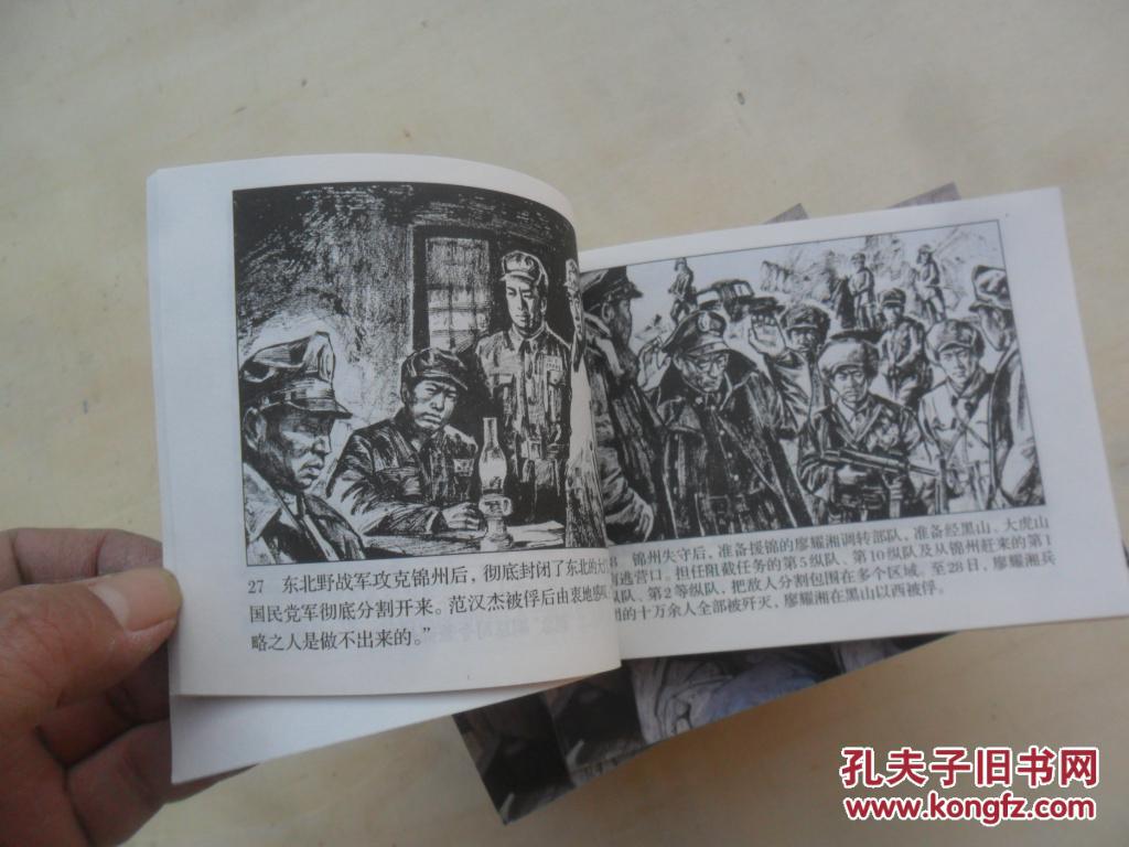 红色的历程 : 中国共产党党史连环画(全20册)