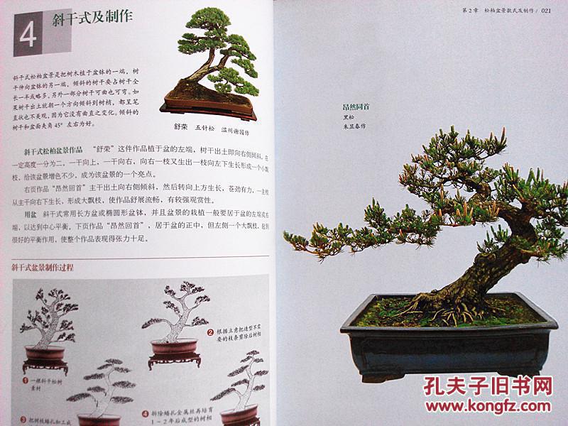 松柏盆景制作技法_马文其主编_孔夫子旧书网