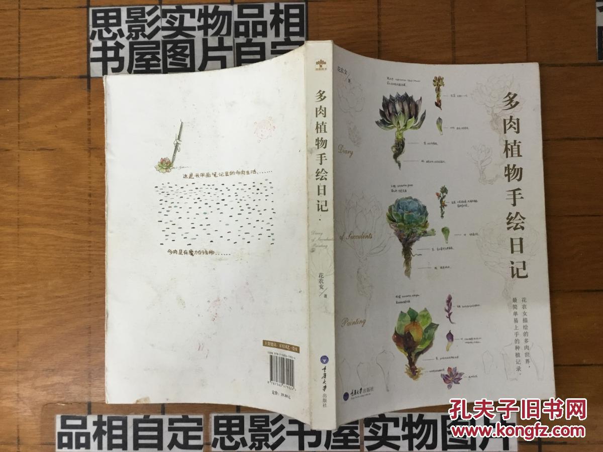 多肉植物手绘日记