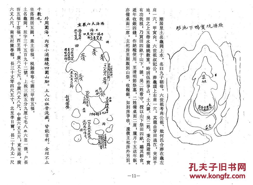 家谱-----容氏族谱 沙公支 16开 600页 2009年版 原件