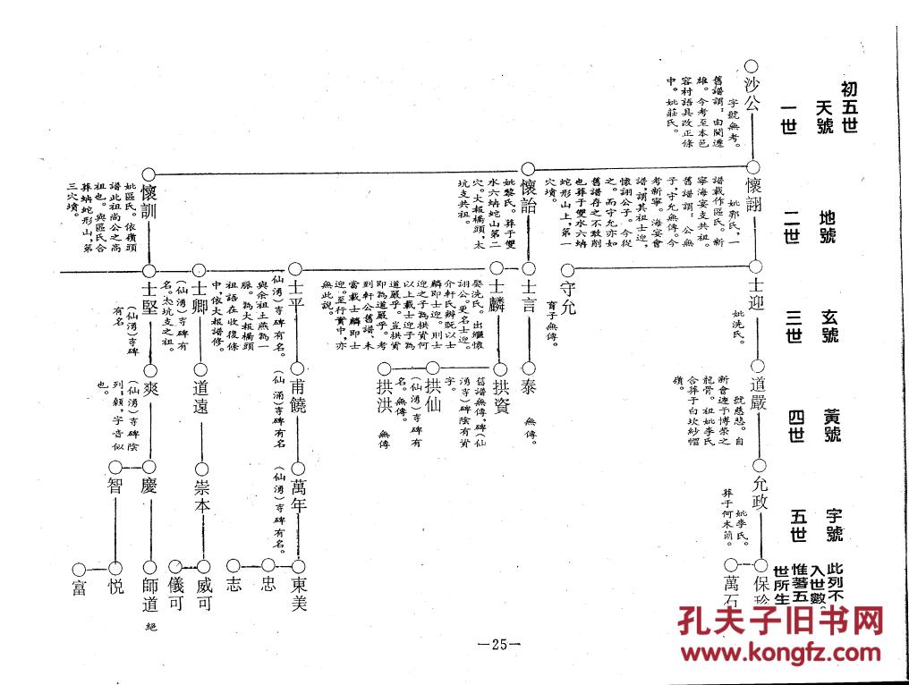 家谱-----容氏族谱 沙公支 16开 600页 2009年版 原件