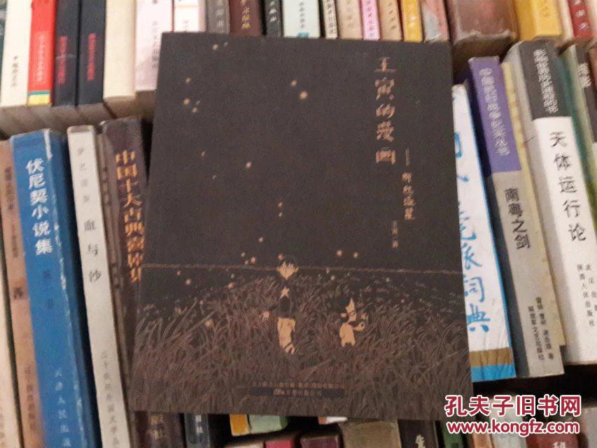 王寅的漫画:那些流星