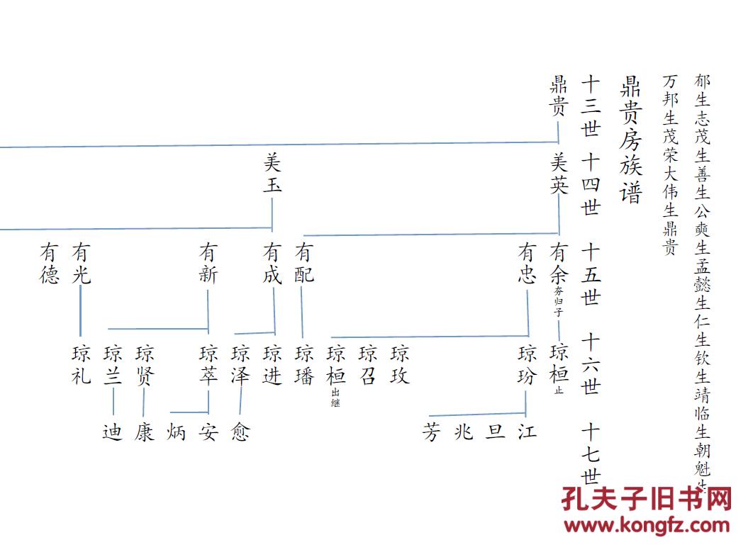家谱-----容氏族谱 高州 沙公支 16开 140页 2009年版