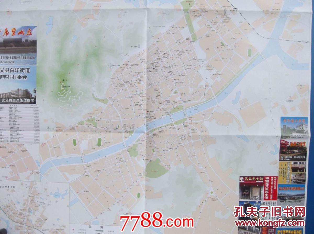 2013中国温泉城·武义全景图-对开地图图片