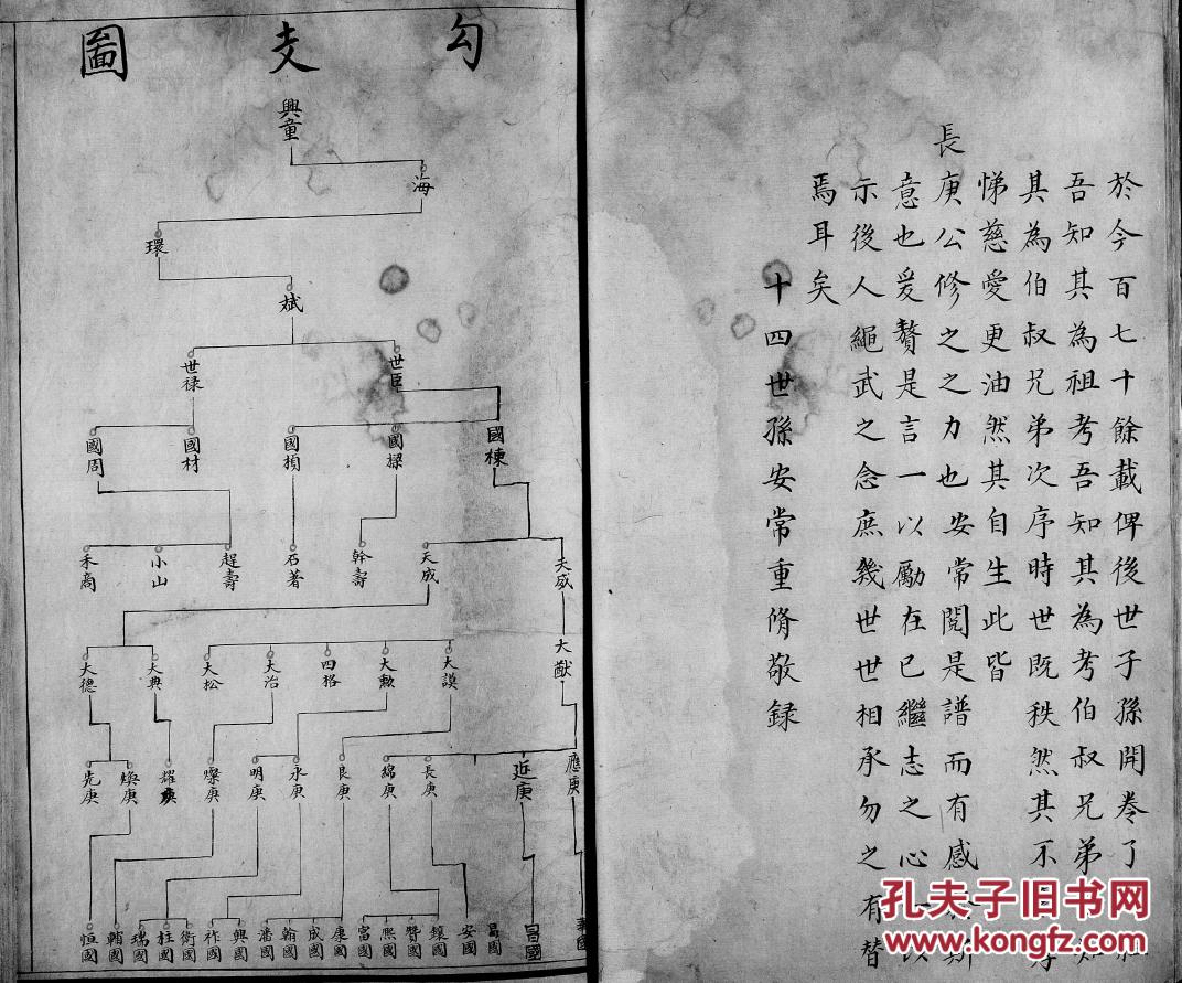 家谱----张氏家谱 【具体见品相描述】 河北 兴同公支
