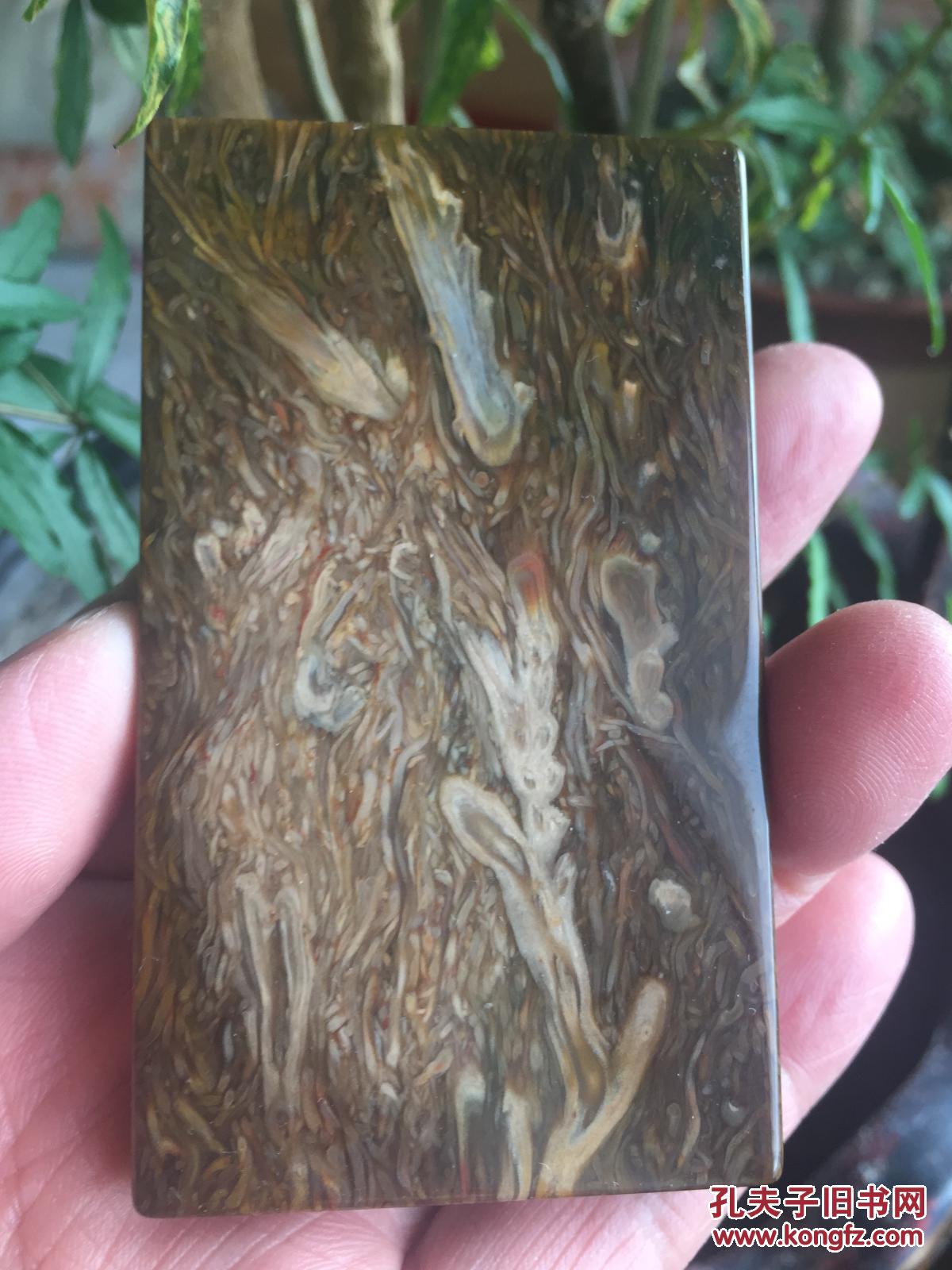 保真,桫椤玉,5,8,1规格,精品牌子