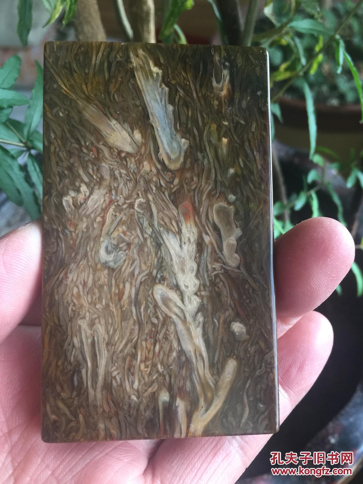 保真,桫椤玉,5,8,1规格,精品牌子