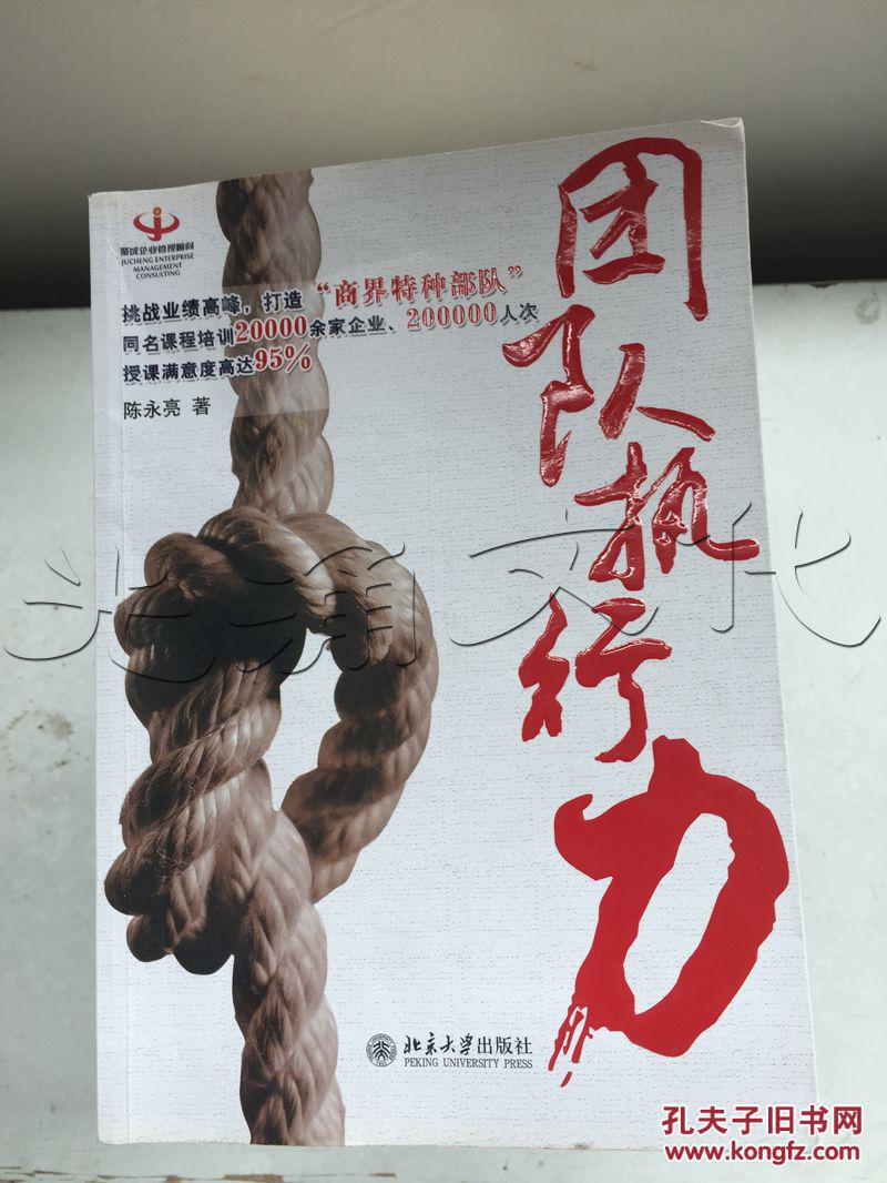 团队执行力(陈永亮 著)_简介_价格_管理书籍_孔网