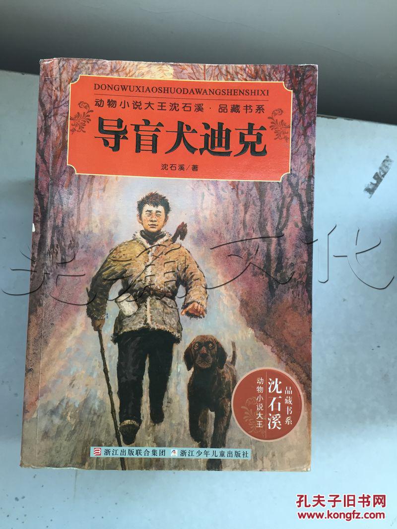 导盲犬迪克