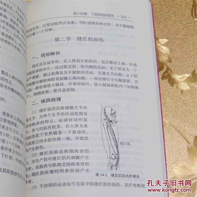 圆利针疗法:运动性损伤中西医结合针灸疗法 编著:胡超伟 湖北科学技术