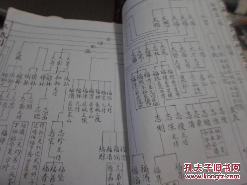 刘氏家谱
