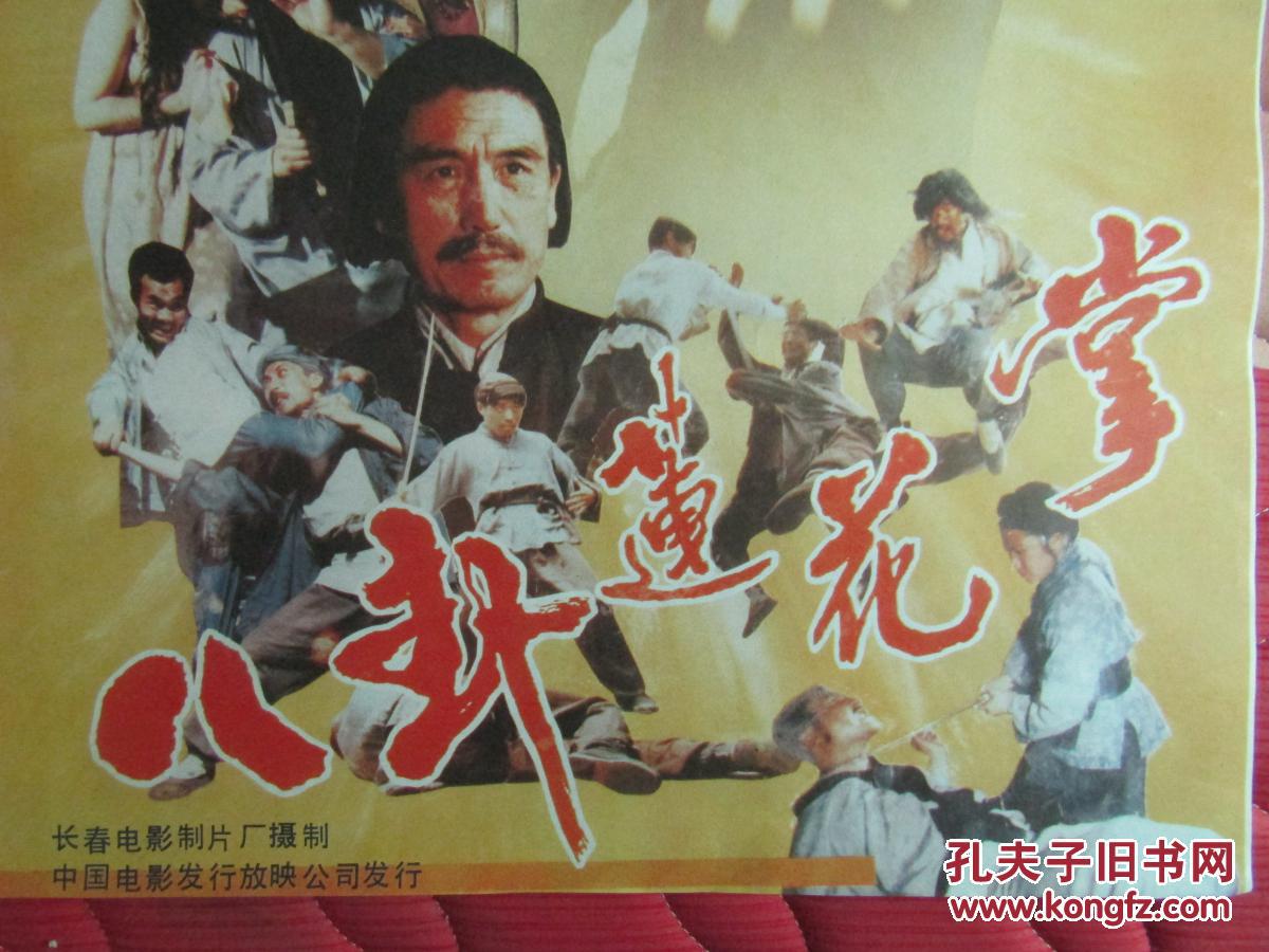 二开电影海报:八卦莲花掌