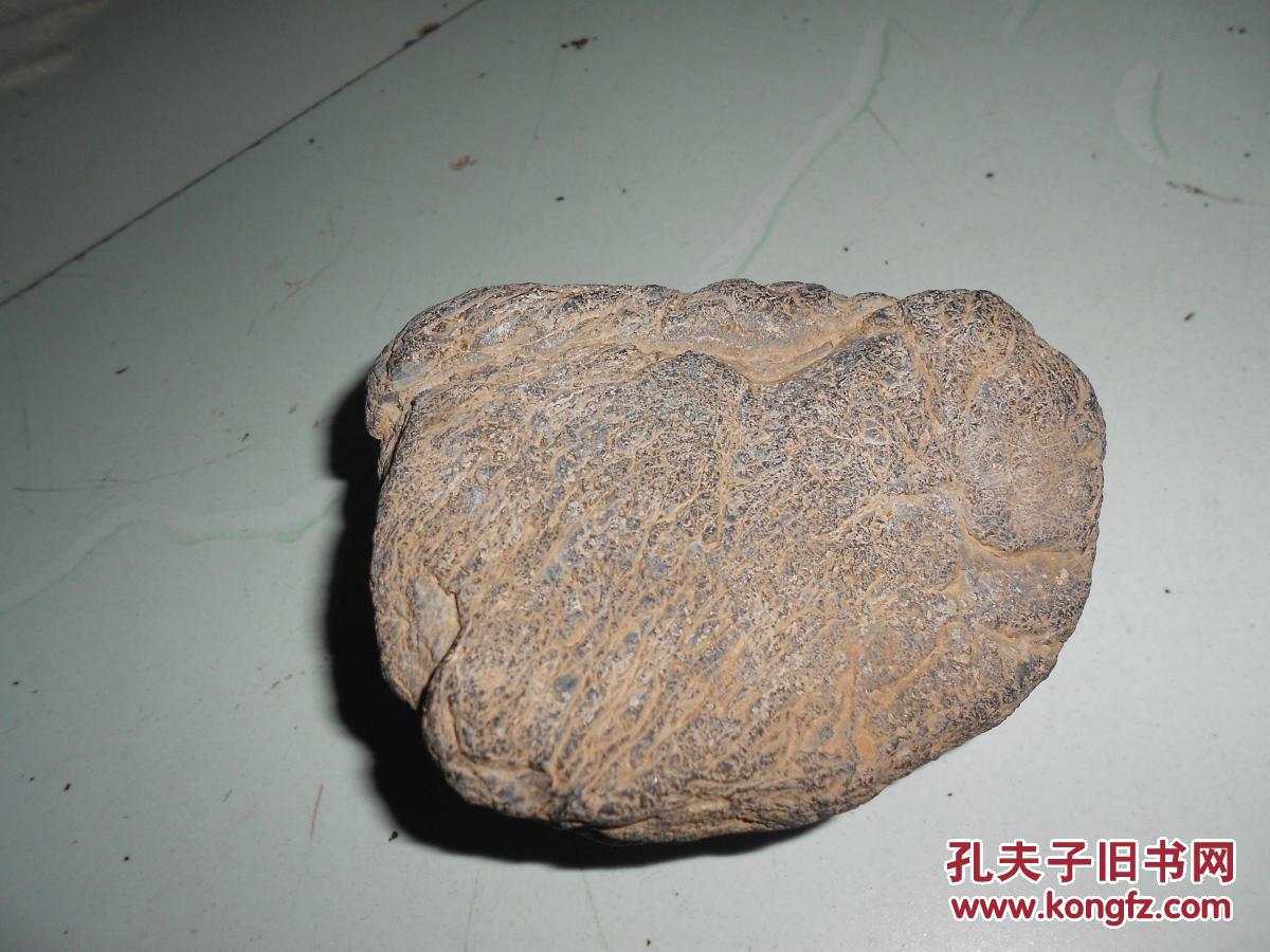奇石一块(形似一坨牛粪疑似远古生物粪便化石)