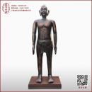 仿古针灸铜人模型真人大小1.9米中医针灸模型经络铜人