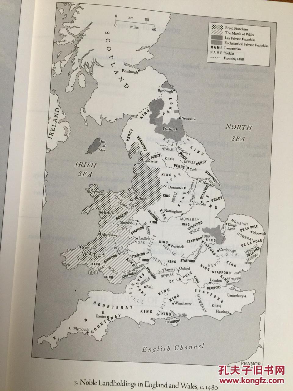 the plantagenets and the rise of the tudors - dan jones 玫瑰战争