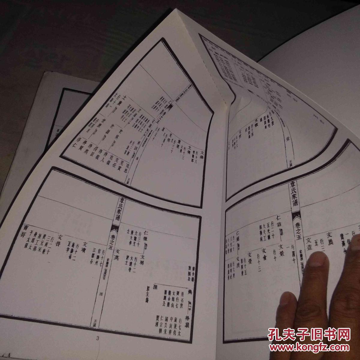 坏氏家族有多少人口_全国老人有多少人口(3)