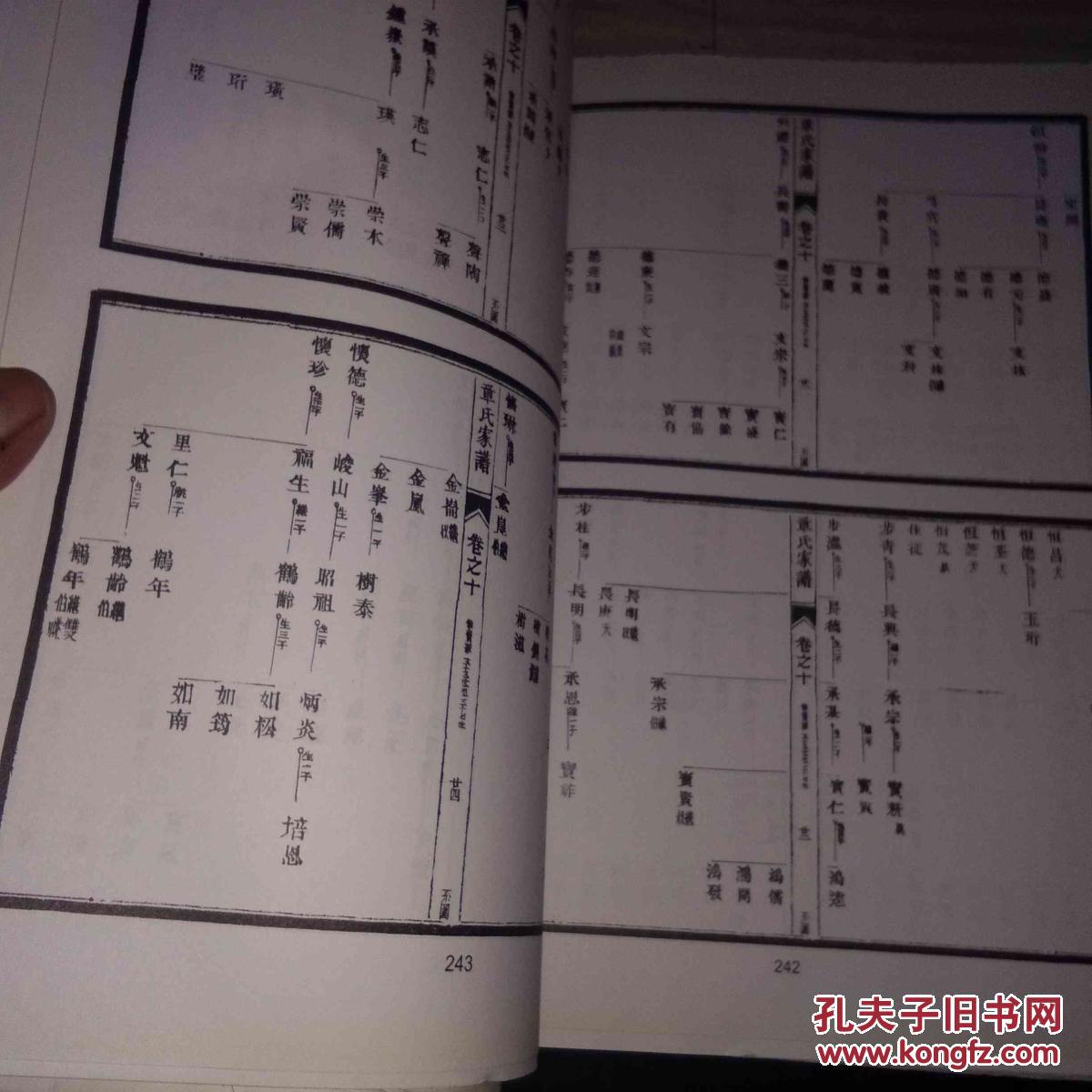 坏氏家族有多少人口_全国老人有多少人口(3)