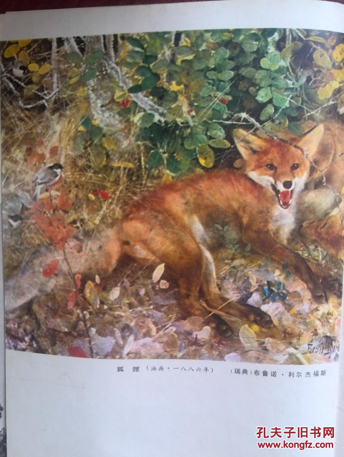 美术插页敦煌壁画中的动物布鲁诺利尔杰福斯油画狐狸