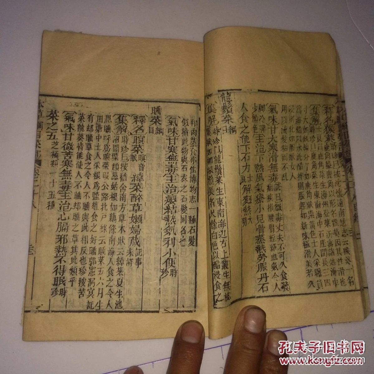 原版清代木刻线装中医书 本草纲目菜部第二十八卷`果部第二十九卷
