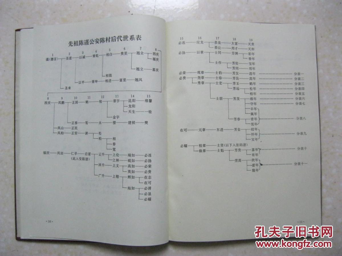 陈氏家族谱史(江苏省盐城市阜宁县陈集乡小陈村,芦蒲乡安陈村陈氏族谱