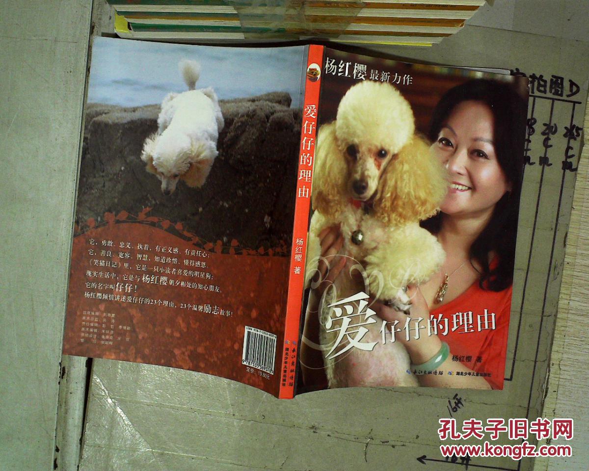 爱仔仔的理由(杨红樱 著;周京 摄影)_简介_价格_童书