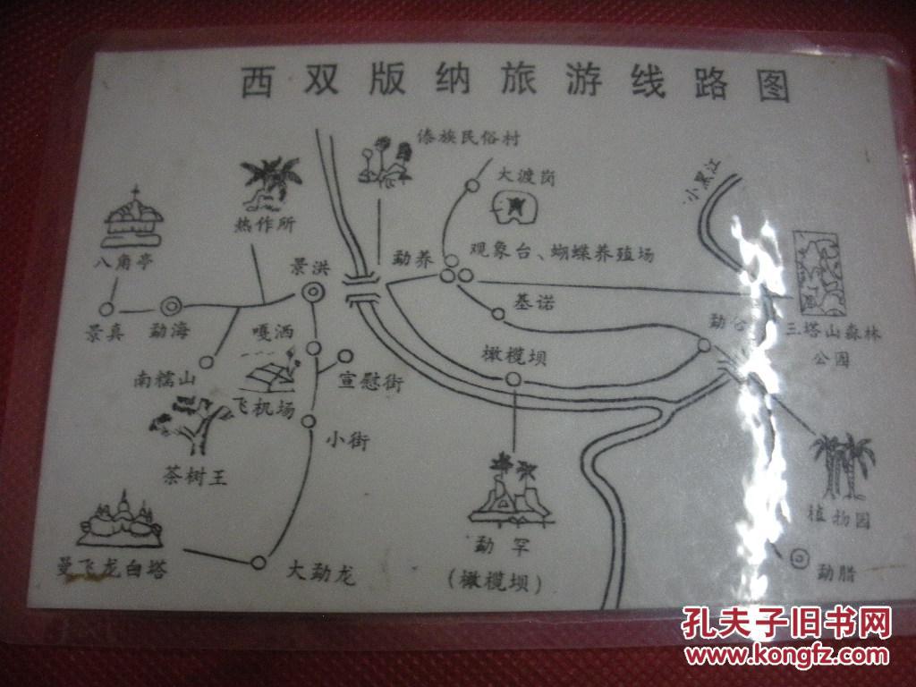 西双版纳旅游纪念 云南橄榄坝 蝴蝶标本 背面手绘线路