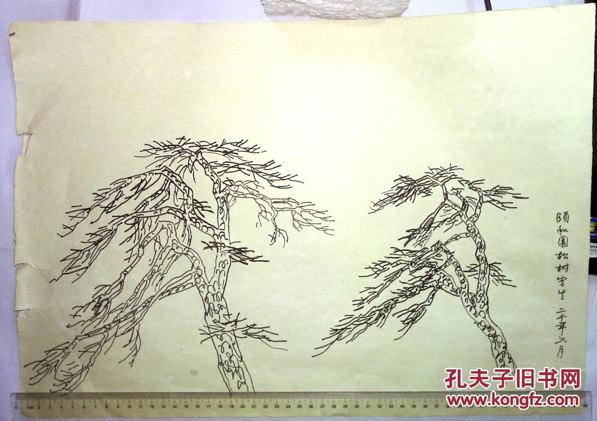 np00220 手画钢笔画5张 颐和园松树 拍品编号:28811905