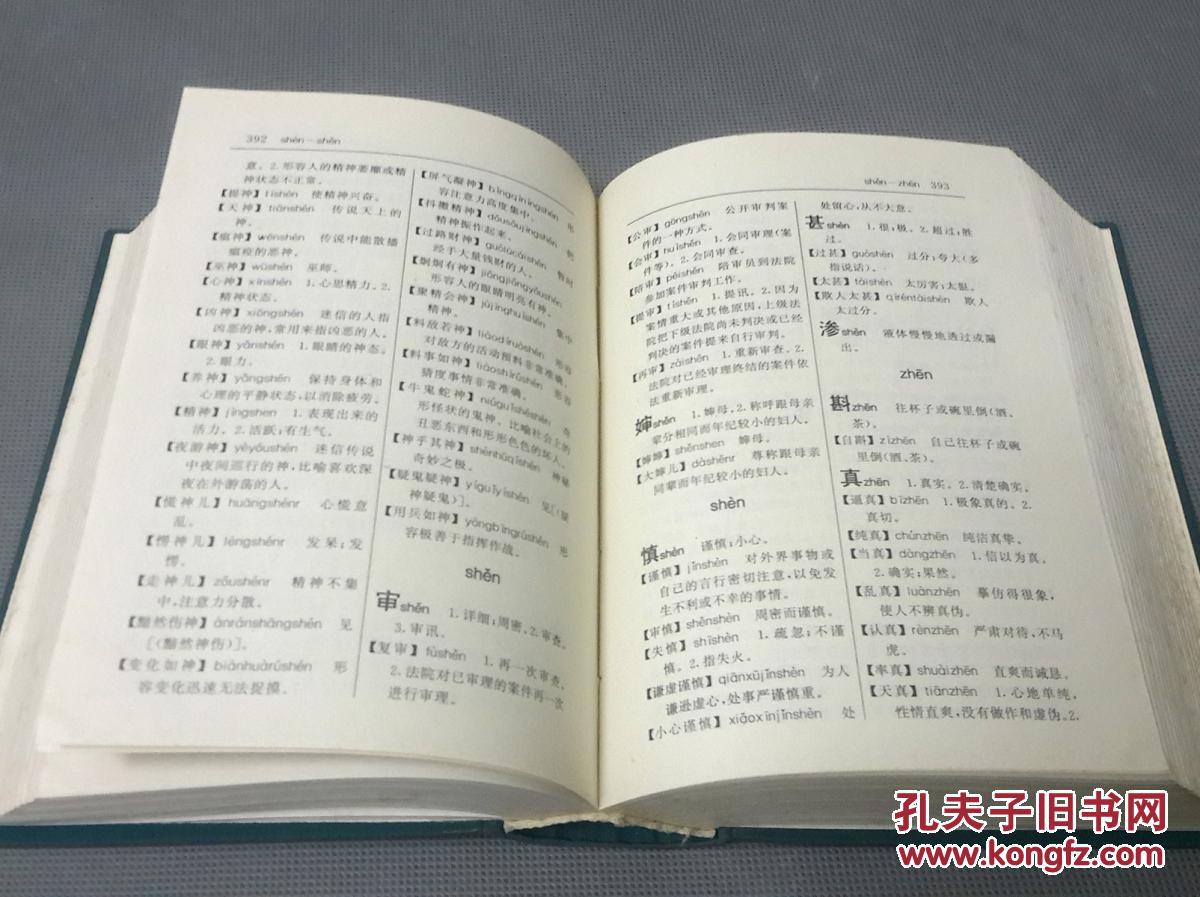 诗歌韵脚词典(精装)