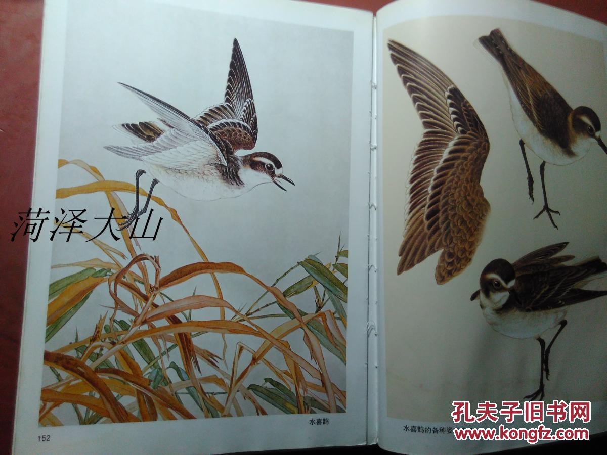 工笔百鸟图谱 —— 书净重650克